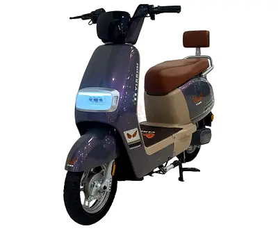 electric scooter featuring a 48V20Ah power system, a brown leather seat with a backrest, and digi