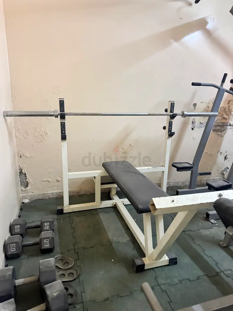 gallery-image