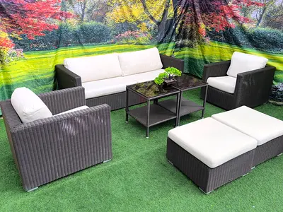 Premium Rattan Branded Outdoor Garden Sofa Set