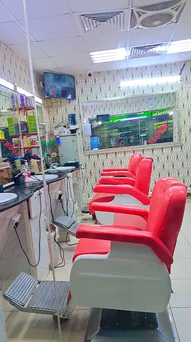 Salon chair