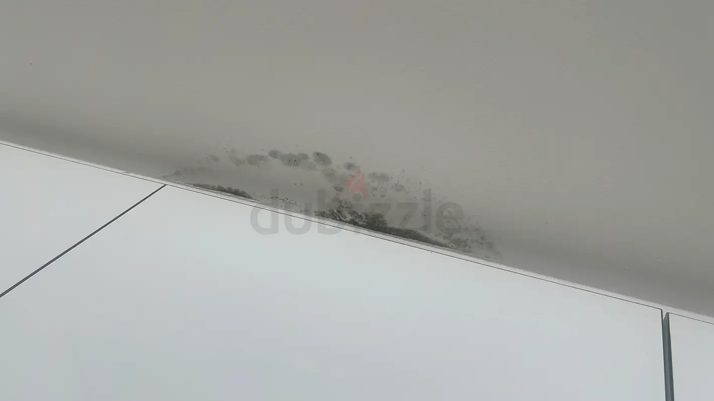 DPV_View_Image_4