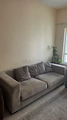 Two gray comfortable sofa