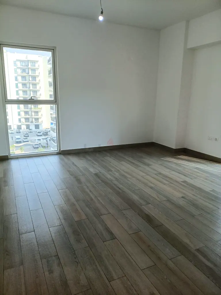 DPV_View_Image_2