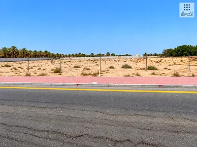 Massive Farm Land | 206,800 Sq. Ft. | Al Khawaneej
