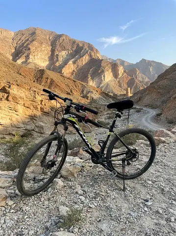 Phoenix Mountain Bike 26" Inch Size with Shimano Deore Gears & Breaks, Maxxis Wheels