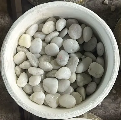 White Decorative River Pebbles - Smooth Polished Stones for Garden/Planters