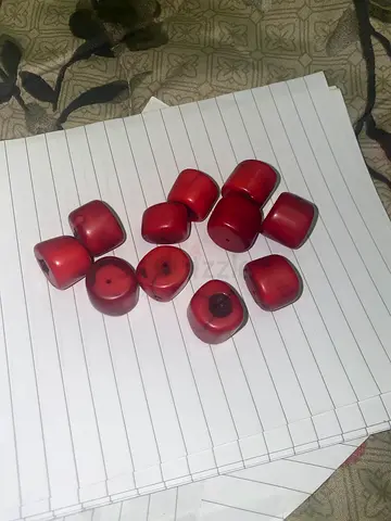 11 pcs of coral