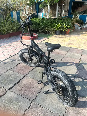 Rattan ebike