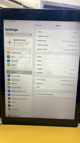 iPad