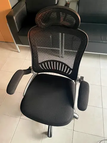 Ergonomic Mesh Office Chair with Lumbar Support and Padded Armrests
