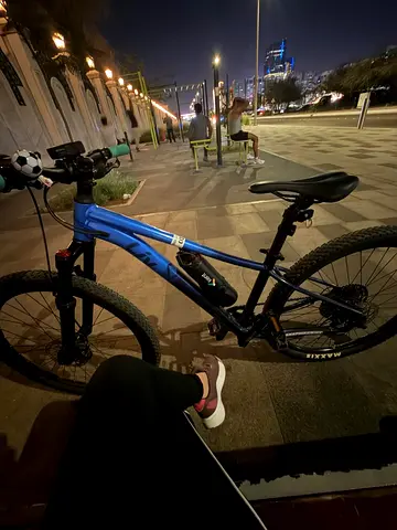 Blue mountain bike - 29" wheels, good condition