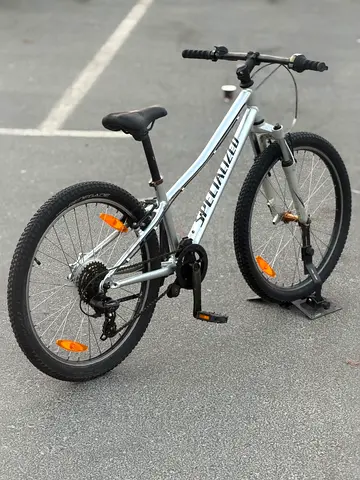 Speclized jr bike