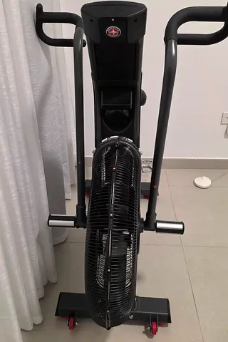 Schwinn AirDyne AD8 Air Bike.