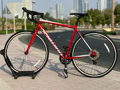 Shwinn Roadbike (M)