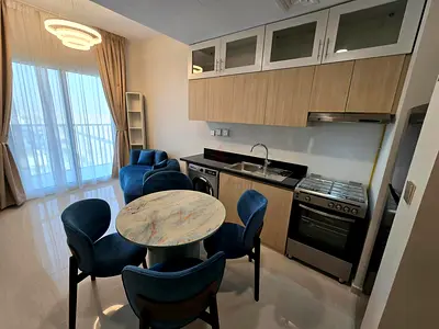 1 Bedroom Fully Furnished Direct from Owner