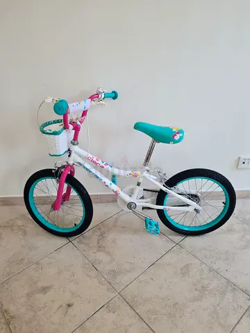 Girls 16-inch Kids Bicycle see the photos