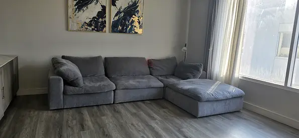 4__ piece's Modular Pan Home pianca feather filled Sofa