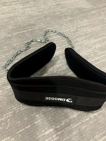 Weighted pull up/dip belt
