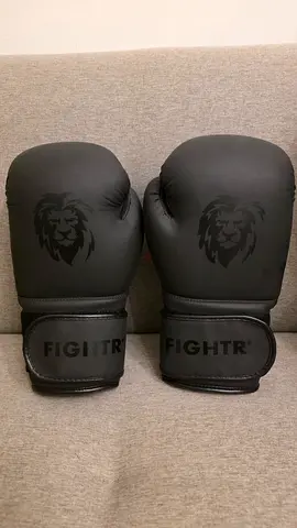 FIGHTR Boxing Gloves 10oz - Like New