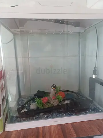 Small glass aquarium tank with filter aqurium lights and decor — ready for setup