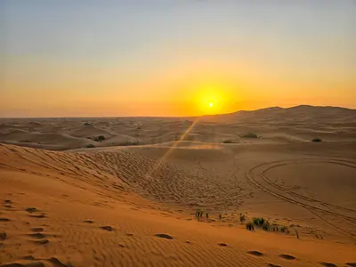 Dubai Desert safari & BBQ Dinner. Buy 1 get one free 118Aed.