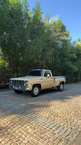 1979 GMC SIERRA — фото 1