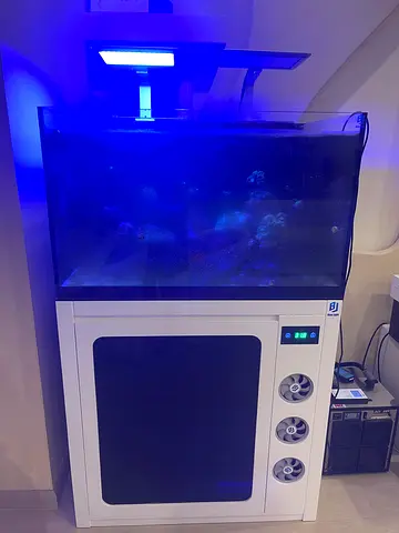 Complete Saltwater Aquarium Setup with Cabinet, Lighting and Filtration