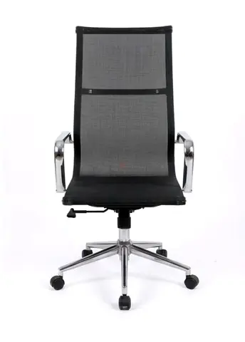 Modern Mesh Executive Office Chair – Chrome Frame