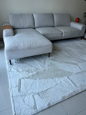 Sofa and Rug