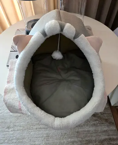 Cat house and dishes
