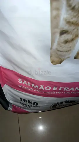 15 kg Salmon & Chicken Cat Food - opened but not used cause cats didn’t like it