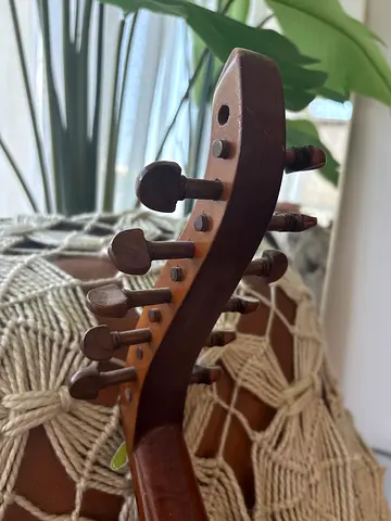 Unlock the soul of traditional music. 🎶