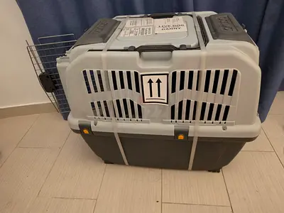 Large plastic pet carrier / travel crate (good condition)