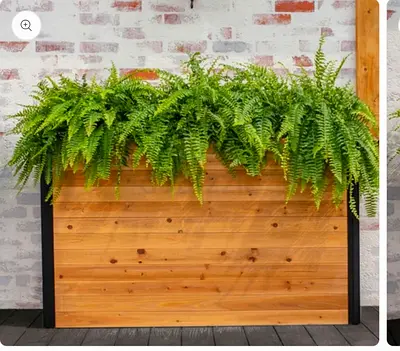 Vita Mezza 16 in. × 59 in. Parklette Planter