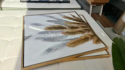 2 Framed Gold & Silver Feather Wall Art (Square)