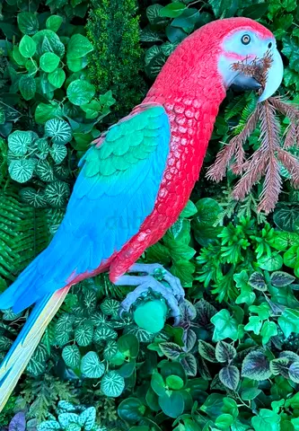 Parrot Decor