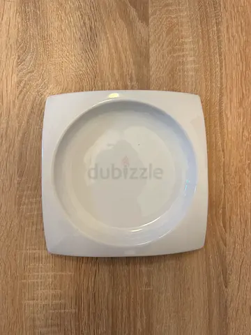 Classic Porcelain Dining Plates