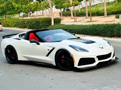 Chevrolet Corvette Stingray Coupe 2019 | 6.2L V8 | 466 HP | 8-Speed Automatic | US Specs