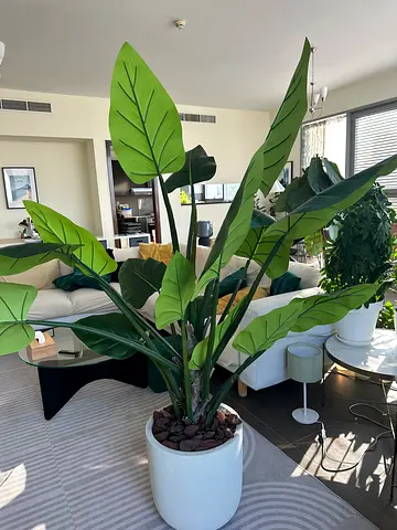 Large Artificial Indoor Plant + Lightweight Pot
