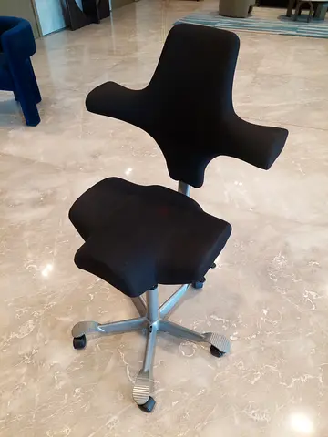 Model Hag Capisco 8106 Chair Adjustable Seat Depth and Backrest Height