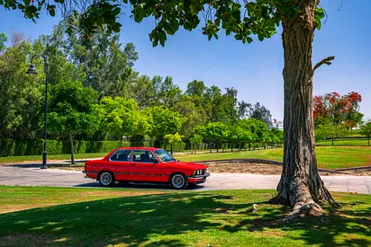 1982 BMW 3-SERIES 缩略图 20