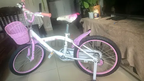 Girls 20-inch Pink & White Kids Bicycle with Front Basket and side training wheels