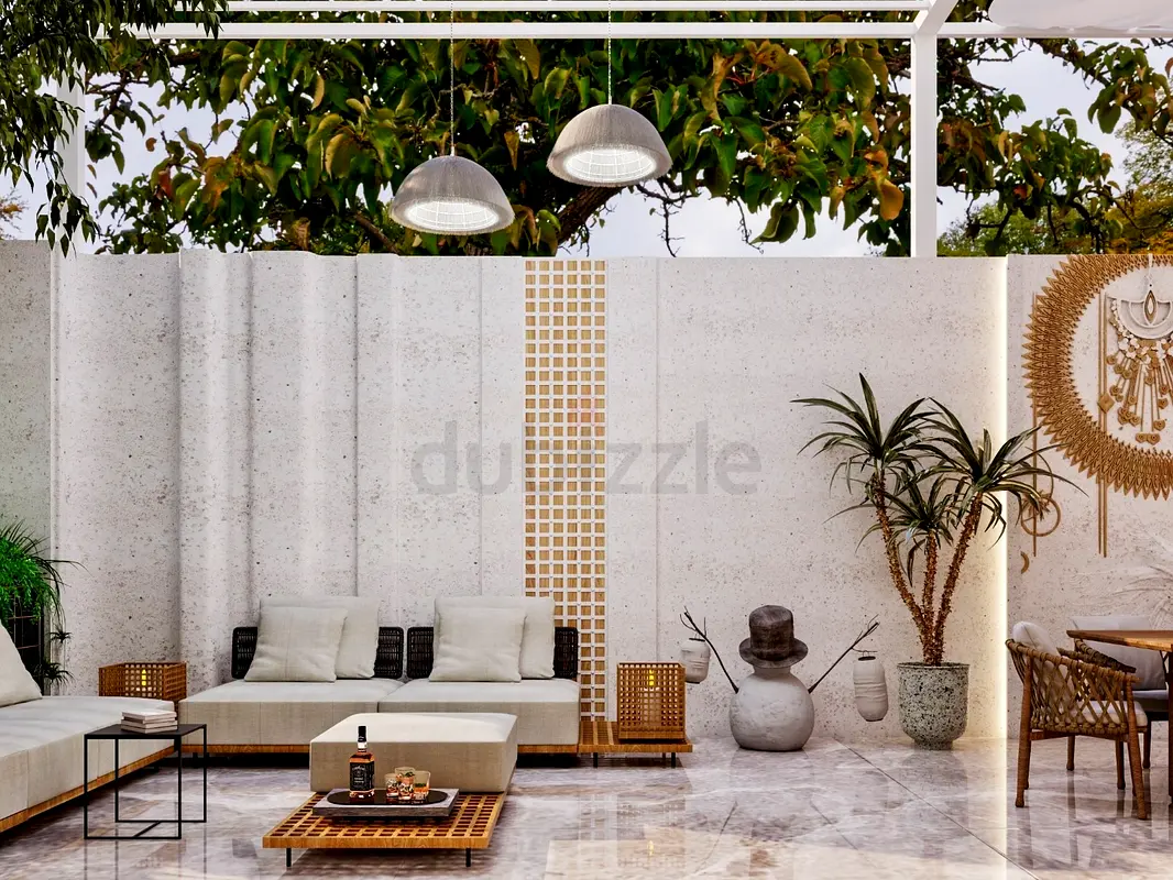 DPV_View_Image_1