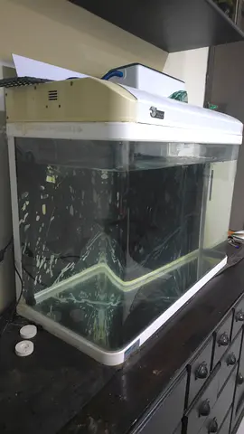 Fish tank