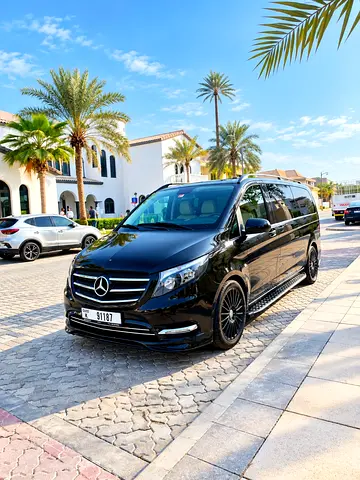 2017 Mercedes-BENZ VITO 照片 2