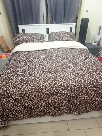 Queen bed frame with medical mattress