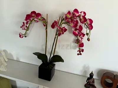Artificial Orchid Plant in Black Ceramic Pot - Good Condition