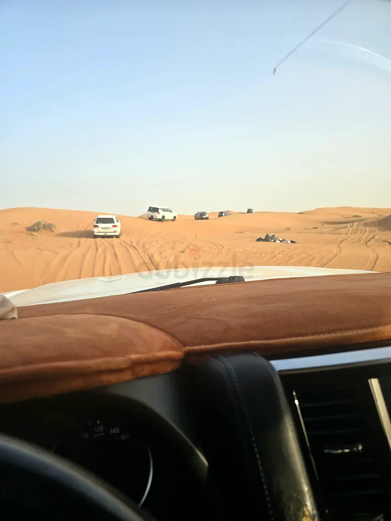 DPV_View_Image_2