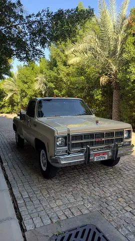 1979 GMC SIERRA — фото 10