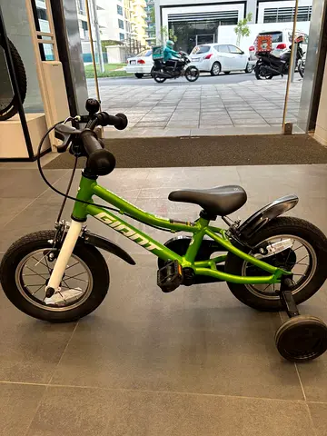 Kids Bicycle Giant Animator 12